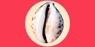 Fissures vaginales : Un rapport sexuel sans préliminaire doublé d’une maladresse du partenaire peut en être la cause