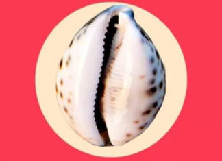 Fissures vaginales : Un rapport sexuel sans préliminaire doublé d’une maladresse du partenaire peut en être la cause