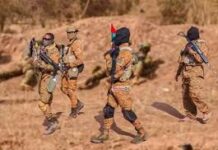 Reconquête du territoire : L’unité spéciale de la Gendarmerie neutralisent plusieurs terroristes à l’Est