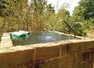 Elevage agro-écologique au Burkina : une riposte face aux défis climatiques