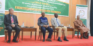 Financement du CILSS : les acteurs explorent les pistes innovantes