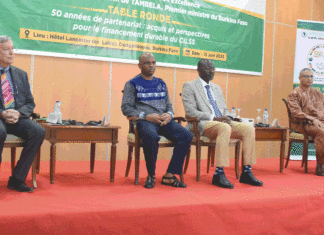 Financement du CILSS : les acteurs explorent les pistes innovantes