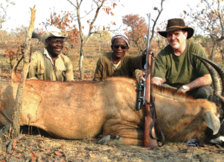 Gestion de la faune dans les Cascades : la chasse, l’autre « proie » du terrorisme