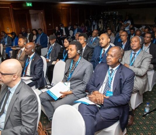 Deuxième sommet Russie-Afrique : Des participants parlent de développement en Ethiopie