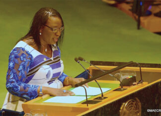 Forum politique pour le développement durable : la ministre Olivia Rouamba plaide pour une solidarité agissante