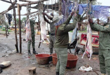 Lutte contre les produits insalubres : un site d’abattage clandestin démantelé