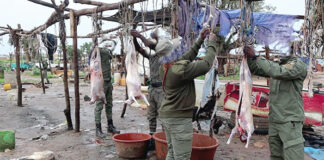 Lutte contre les produits insalubres : un site d’abattage clandestin démantelé