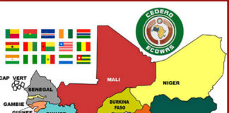 Coup d’Etat au Niger : les sanctions de la CEDEAO