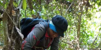 Changement climatique et résilience écologique des forêts tropicales : Une recherche sur les forêts semi-décidues de Belabo du Cameroun présentée à Nairobi