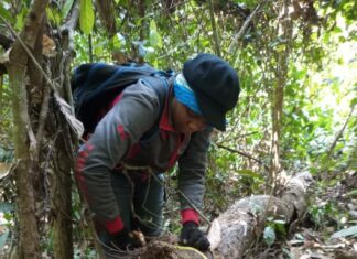 Changement climatique et résilience écologique des forêts tropicales : Une recherche sur les forêts semi-décidues de Belabo du Cameroun présentée à Nairobi