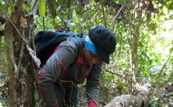 Changement climatique et résilience écologique des forêts tropicales : Une recherche sur les forêts semi-décidues de Belabo du Cameroun présentée à Nairobi
