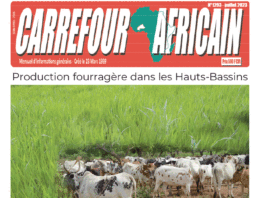 Une Carrefour africain n°1293-juillet 2023