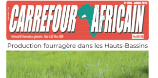 Une Carrefour africain n°1293-juillet 2023