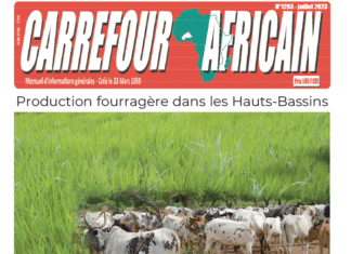 Une Carrefour africain n°1293-juillet 2023