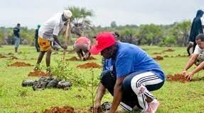 Journée nationale de l’arbre : 60 000 plants prévue pour être mis sous terre dans la région du centre cette année