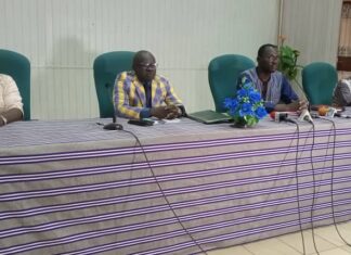 Vulgarisation du Faso Danfani : Le projet de plan d’actions du port généralisé validé