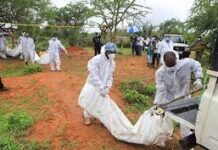 Kenya : 12 nouveaux corps des adeptes d’une secte découverts dans une forêt