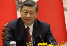 Chine : Xi Jinping met l’accent sur le renforcement de la protection des terres agricoles et l’amélioration de la qualité pour élargir l’espace de production agricole