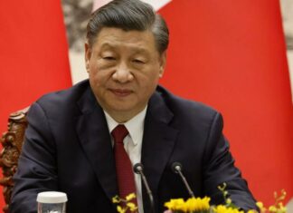 Chine : Xi Jinping met l’accent sur le renforcement de la protection des terres agricoles et l’amélioration de la qualité pour élargir l’espace de production agricole
