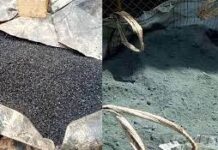 Affaire charbon fin : Le REN-LAC invite la justice ‘’ à tout mettre en œuvre pour vider ce dossier’’