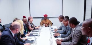 Accès aux soins de santé : l’Alliance des BRICS prête à accompagner le Burkina Faso