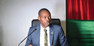 Journée nationale de l’arbre 2023 : 60 000 plants pour reverdir les chefs-lieux de région