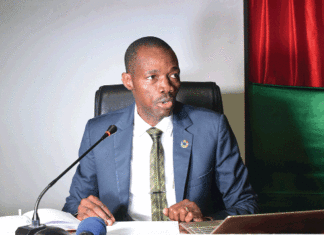 Journée nationale de l’arbre 2023 : 60 000 plants pour reverdir les chefs-lieux de région