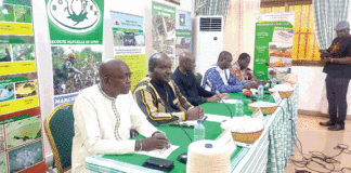 Campagne cotonnière 2023-2024 : un prix d’achat record de 325 F CFA