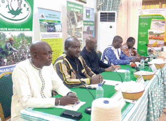 Campagne cotonnière 2023-2024 : un prix d’achat record de 325 F CFA