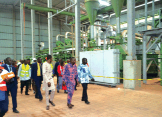 Développement industriel : le Premier ministre appelle à consommer local