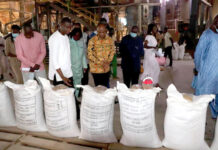 Production d’aliments de bétail : le ministre délégué Amadou Dicko visite des sites