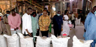 Production d’aliments de bétail : le ministre délégué Amadou Dicko visite des sites