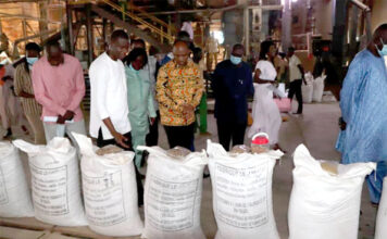 Production d’aliments de bétail : le ministre délégué Amadou Dicko visite des sites