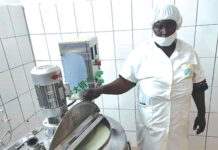 Mariam Koita née Dicko : d’animatrice communautaire à fondatrice d’une laiterie