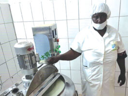 Mariam Koita née Dicko : d’animatrice communautaire à fondatrice d’une laiterie