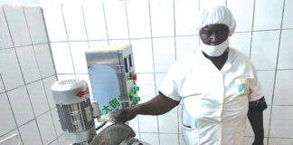 Mariam Koita née Dicko : d’animatrice communautaire à fondatrice d’une laiterie