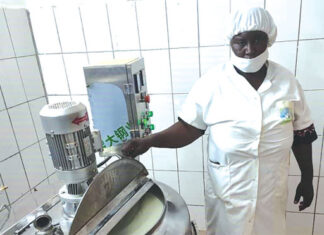 Mariam Koita née Dicko : d’animatrice communautaire à fondatrice d’une laiterie