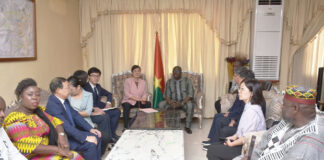 Coopération Chine-Burkina : Zhengzhou et Ouagadougou renforcent leur relation