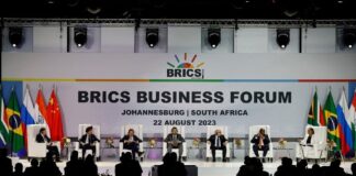 Sommet des BRICS : l’Egypte et l’Éthiopie sont désormais membres