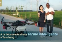 Ferme intelligente à Yancheng : des drones opèrent leur « magie »