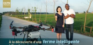 Ferme intelligente à Yancheng : des drones opèrent leur « magie »