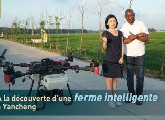 Ferme intelligente à Yancheng : des drones opèrent leur « magie »