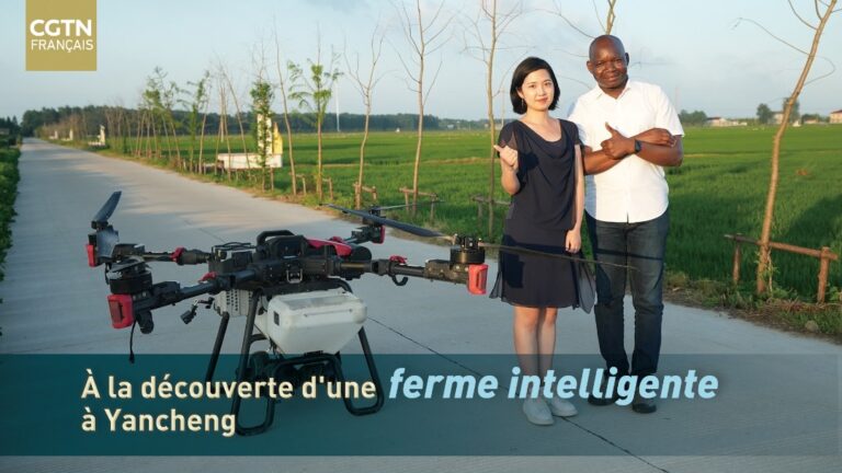 Ferme intelligente à Yancheng : des drones opèrent leur « magie »