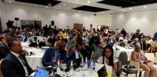 Changement climatique, biodiversité et systèmes alimentaires dans le bassin du Congo : La problématique au centre d’un sommet régional à Kinshasa