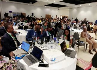 Changement climatique, biodiversité et systèmes alimentaires dans le bassin du Congo : La problématique au centre d’un sommet régional à Kinshasa