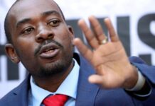 Zimbabwe : l’opposition revendique la victoire aux élections présidentielles