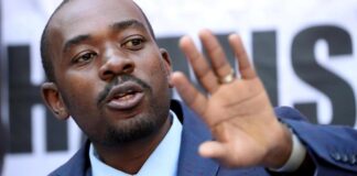 Zimbabwe : l’opposition revendique la victoire aux élections présidentielles