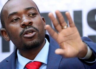 Zimbabwe : l’opposition revendique la victoire aux élections présidentielles