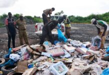 Burkina : La gendarmerie a démantèlé un réseau de contrebandes de poulets congelés impropres à la consommation