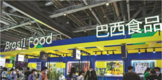 Chine : Le commerce avec les autres pays des BRICS dépasse les 300 milliards de dollars